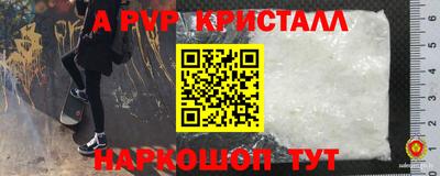 стаф Гусев