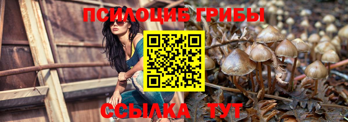 Ишим  Галлюциногенные грибы Psilocybe  наркотики  Вход с VPN 
